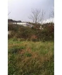 Vendita Edificabile residenziale in Via Antiniana