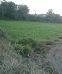 Lido Di Licola: Vendita Agricolo in Via Santa Maria Goretti