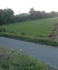 Lido Di Licola: Vendita Agricolo in Via Santa Maria Goretti