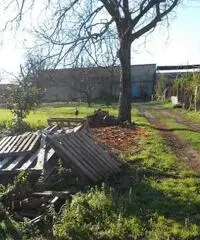 RifITI 027-279 - Terreno Agricolo in Vendita a Sant'Antimo di 1600 mq