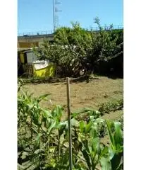 RifITI 027-SU931 - Terreno Agricolo in Vendita a Sant'Antimo di 800 mq