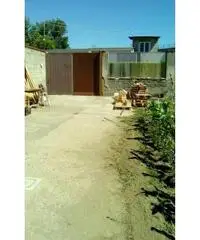 RifITI 027-SU931 - Terreno Agricolo in Vendita a Sant'Antimo di 800 mq