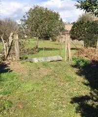 Vendita Multilocale in Via Pastiniello II