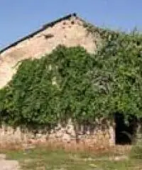 V10 rudere con terreno