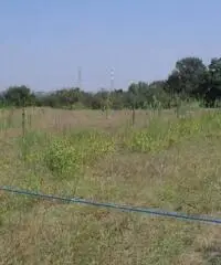 Vendita Agricolo in via ripuaria