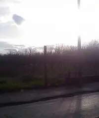 Guadagni: Vendita Agricolo in Via Aurora