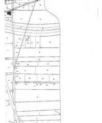 Guadagni: Vendita Agricolo in Via Aurora