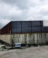 in affitto Privato terreno non edificabile mq 1900 Euro 800 in affitto Privato terreno non edificabile mq 1900 Euro 800