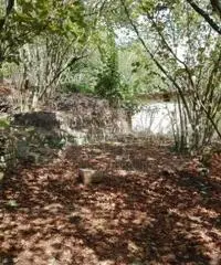 Vendita Agricolo in località pendelle