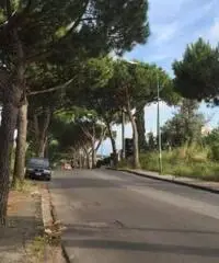 Affitto Agricolo in Via Sacerdote Cozzolino Benedetto, 0 Affitto Agricolo in Via Sacerdote Cozzolino Benedetto, 0