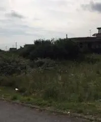 Affitto Agricolo in Via Sacerdote Cozzolino Benedetto, 0
