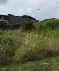 Affitto Agricolo in Via Sacerdote Cozzolino Benedetto, 0 Affitto Agricolo in Via Sacerdote Cozzolino Benedetto, 0