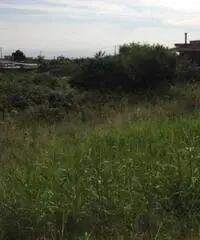 Affitto Agricolo in Via Sacerdote Cozzolino Benedetto, 0 Affitto Agricolo in Via Sacerdote Cozzolino Benedetto, 0