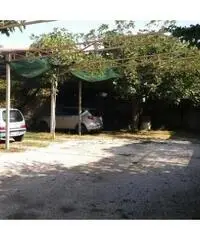 Vendita Agricolo in Via IV Orologi