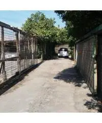 Vendita Agricolo in Via IV Orologi