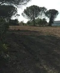 Romani: Vendita Immobile da 8000mq