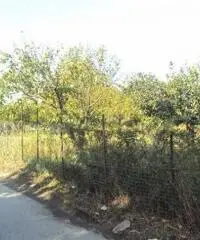 Vendita Agricolo in Via Marra