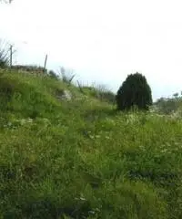 Vendita Agricolo in Via San Martino Malacoccola