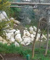 Vendita Agricolo in Via Campitiello