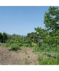 Vendita Agricolo in Via Sibilla, 00