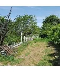 Vendita Agricolo in Via Sibilla, 00