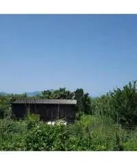 Vendita Agricolo in Via Sibilla, 00