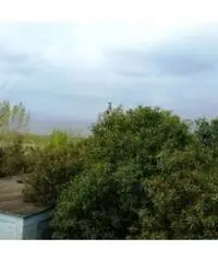 Vendita Multilocale in strada provinciale Scalandrone