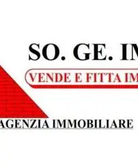 Arpino: Vendita Agricolo in via lufrano arpino