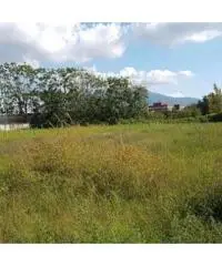 Vendita Edificabile commerciale da 2900mq