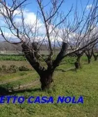 Vendita Agricolo in Via Camillo Cucca