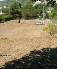 terreno coltivabile mq 4000 Euro 140.000 terreno coltivabile mq 4000 Euro 140.000