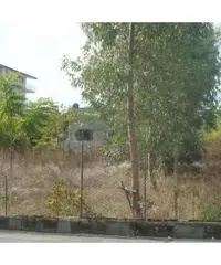 Rudere di 70 mq in 1500 mq di terreno a Terzigno