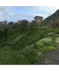 Arola: Vendita Multilocale da 130mq