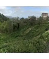 Arola: Vendita Multilocale da 130mq