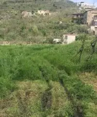 Vendita Agricolo da 6000mq