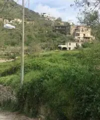 Vendita Agricolo da 6000mq