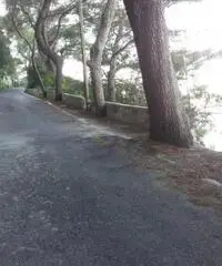 Vendita Agricolo in Via Veterino