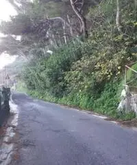 Vendita Agricolo in Via Veterino