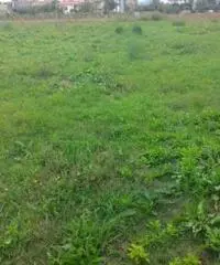 Vendita Agricolo in strada statale 7 bis