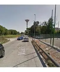 Vendita Agricolo in Via delle Magnolie