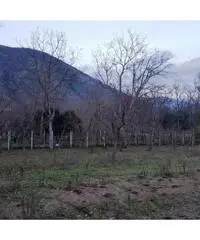 Vendita Agricolo in Via Caserta Vendita Agricolo in Via Caserta