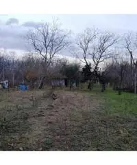 Vendita Agricolo in Via Caserta Vendita Agricolo in Via Caserta