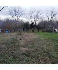 Vendita Agricolo in Via Caserta Vendita Agricolo in Via Caserta