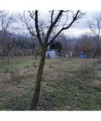 Vendita Agricolo in Via Caserta Vendita Agricolo in Via Caserta