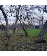Vendita Agricolo in Via Caserta Vendita Agricolo in Via Caserta