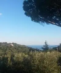 Colli Di San Pietro: Vendita Cinque locali in Via Bosco