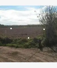 Giugliano 1500mq di terreno agricolo -