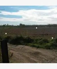 Giugliano 1500mq di terreno agricolo -