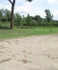 Varcaturo: Affitto Agricolo in Via Ripuaria