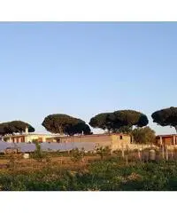 Terreno Agricolo in Vendita a Giugliano in Campania di 1 mq